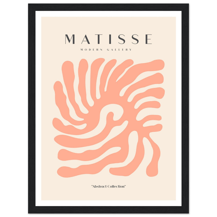 Matisse Abstract Collection Art Print #01