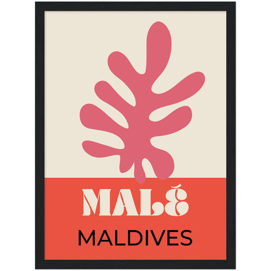 Male Maldives Travel Art Print